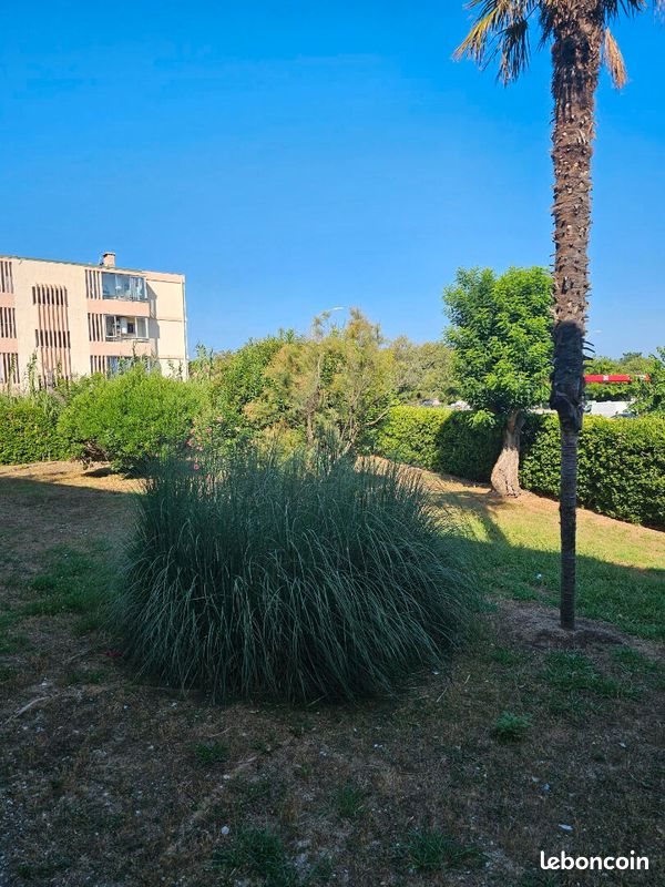 Appartement à louer, 73m², Six-Fours-les-Plages