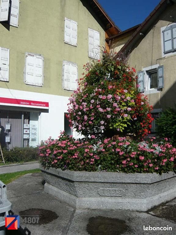 Appartement à louer, 16m², Cluses