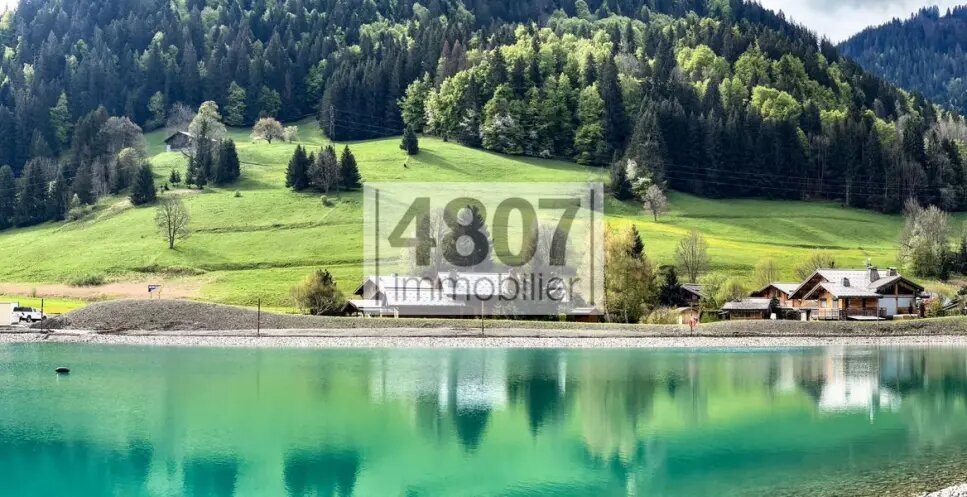 Appartement à vendre, 125m², Praz-sur-Arly