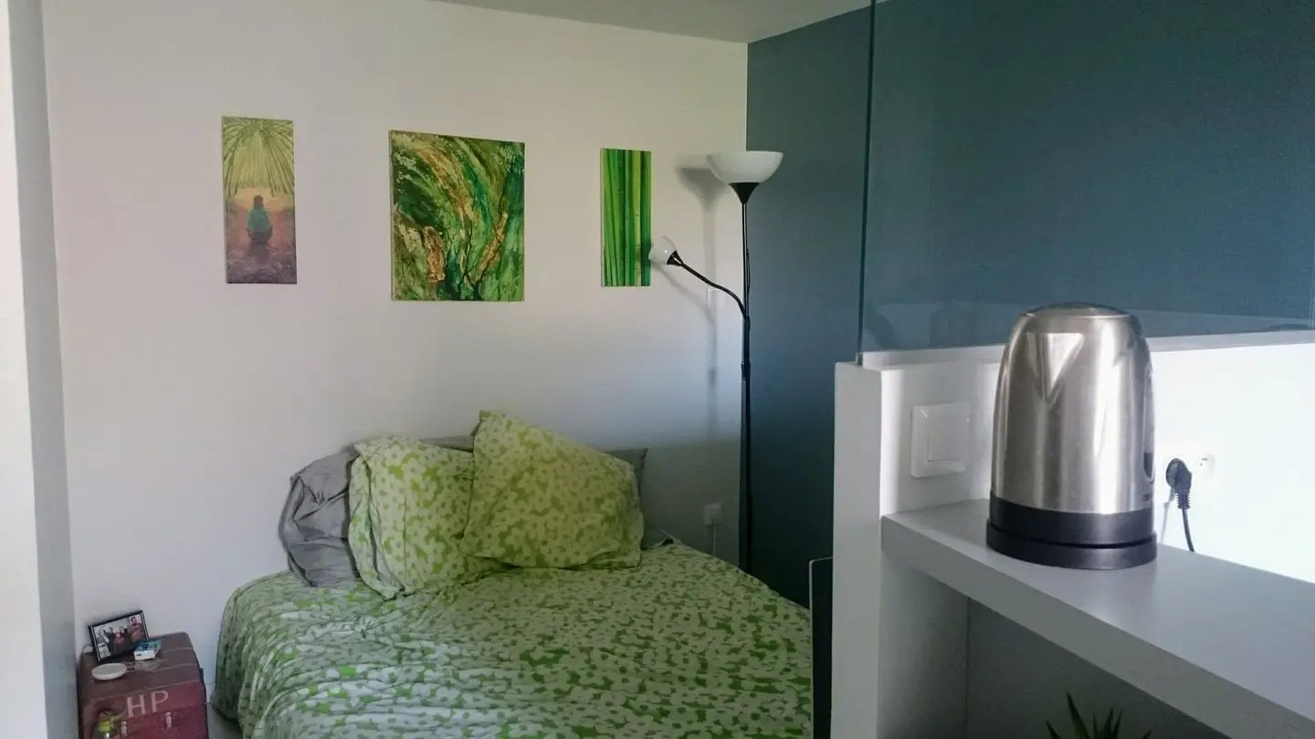 Appartement à louer, 22m², Nancy