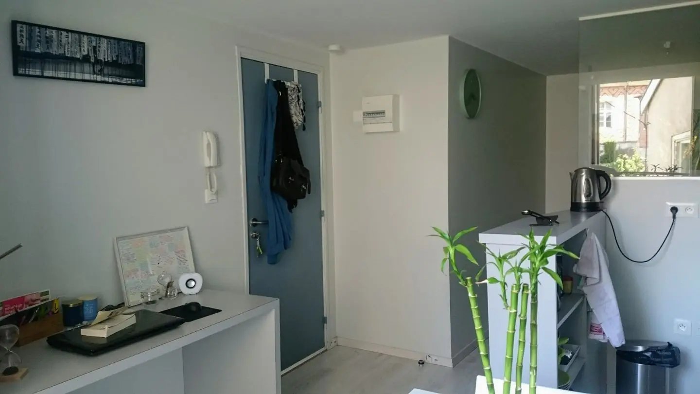 Appartement à louer, 22m², Nancy
