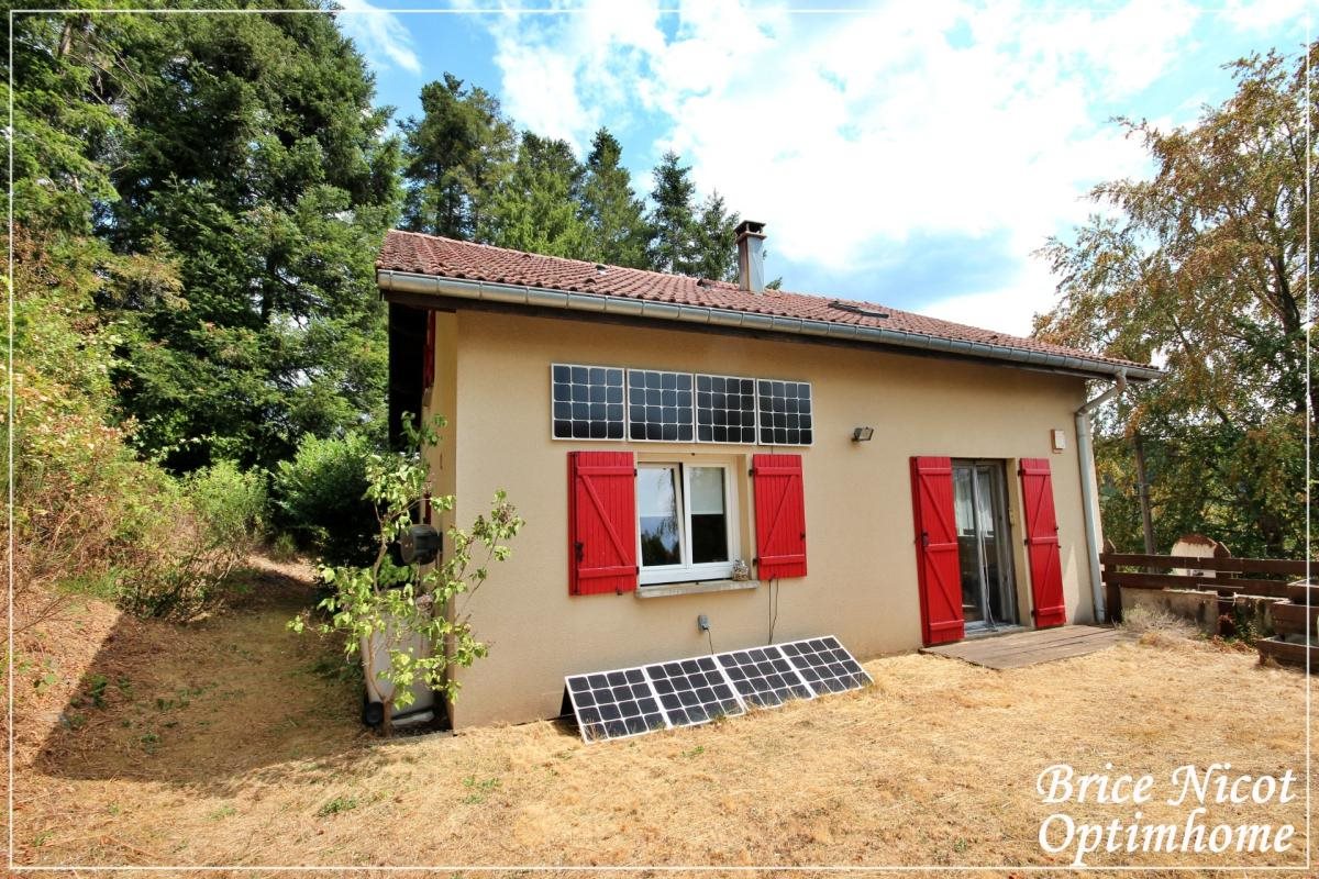 Maison à vendre, 110m², Moyenmoutier