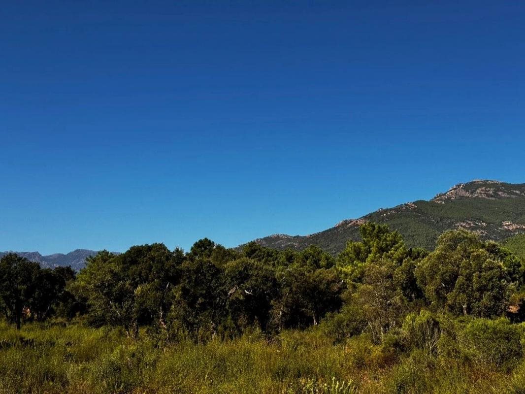 Maison à vendre, 175m², Porto-Vecchio