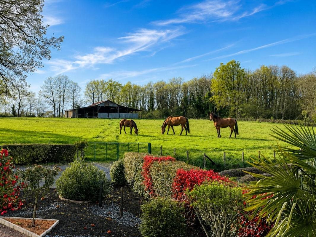 Maison à vendre, 150m², Saumur
