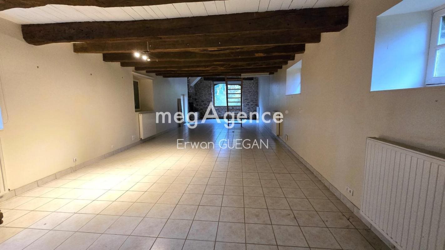 Maison à vendre, 250m², Pluméliau
