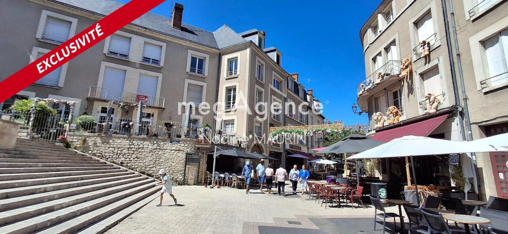 Appartement à vendre, 192m², Blois