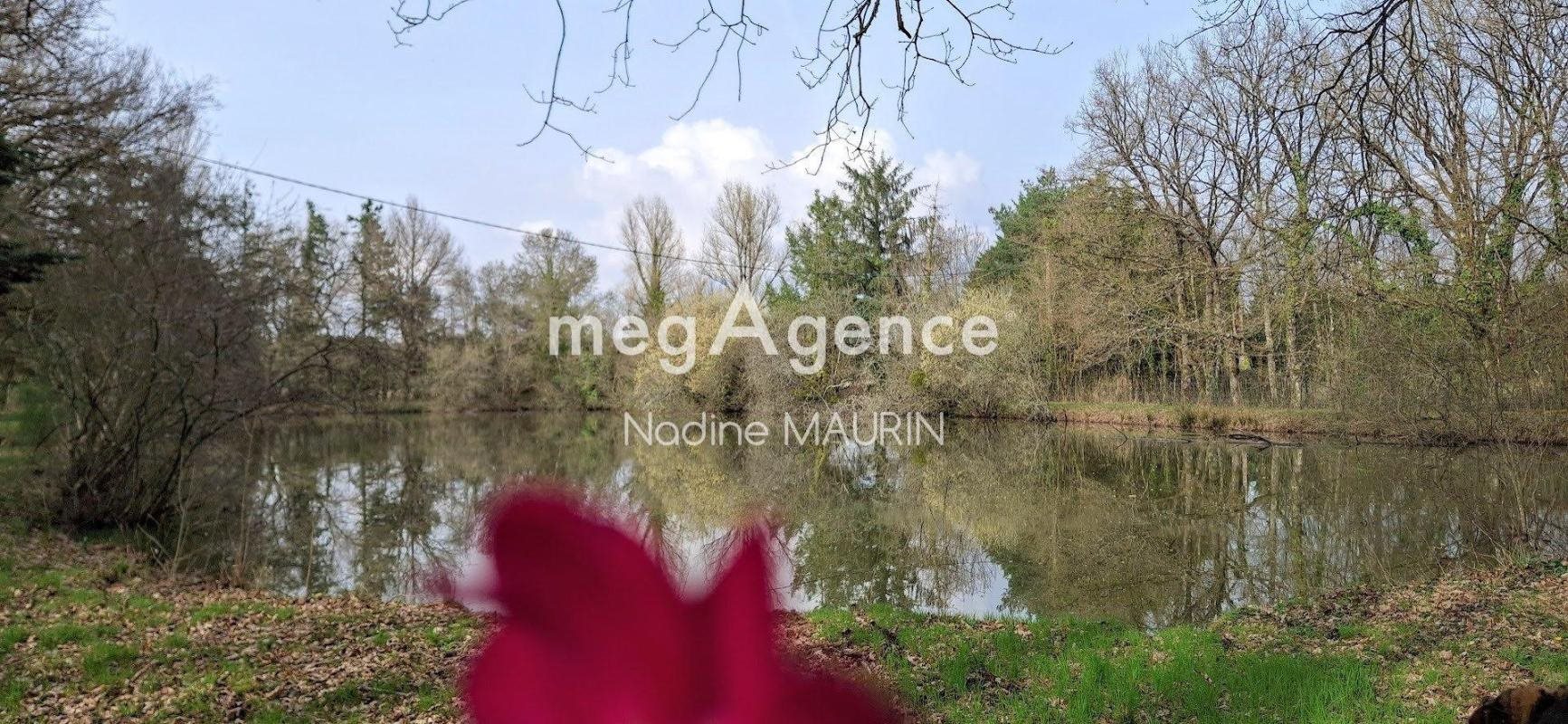 Maison à vendre, 224m², Mur-de-Sologne