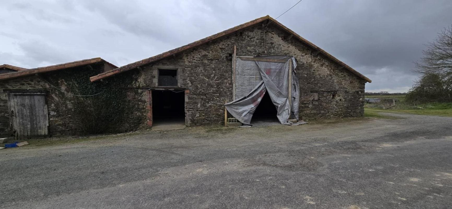 Maison à vendre, 300m², Chavagnes-en-Paillers