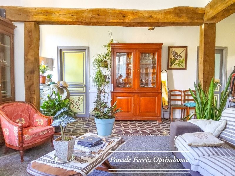 Maison à vendre, 205m², Salies-du-Salat