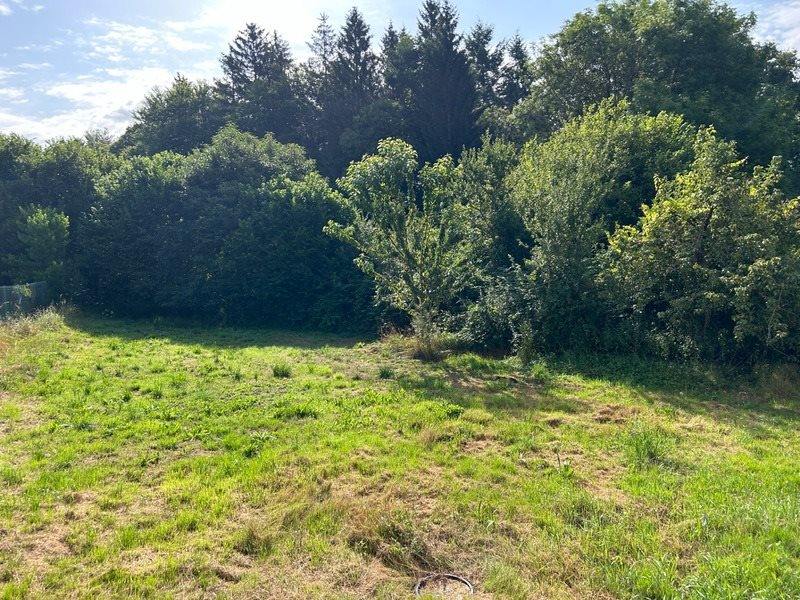 Maison à vendre, 200m², Saint-Léger-la-Montagne