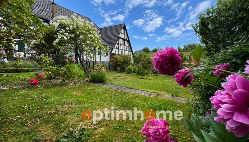 Maison à vendre, 186m², Langensoultzbach