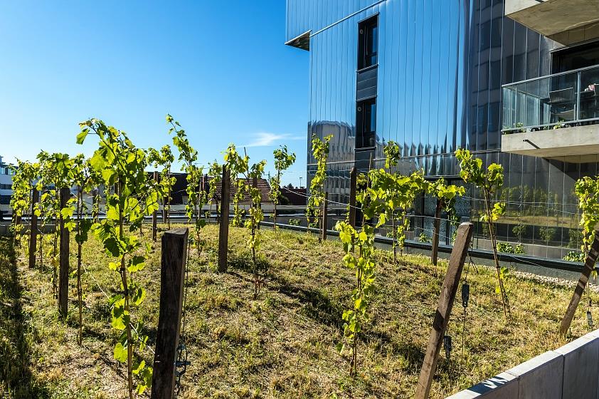 Appartement à vendre, 37m², Dijon