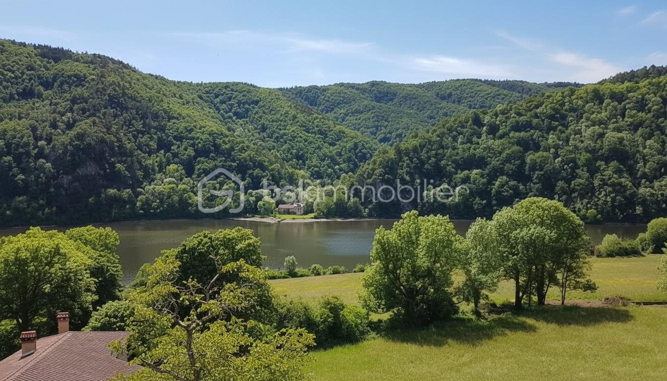 Maison à vendre, 270m², Saint-Paul-en-Cornillon