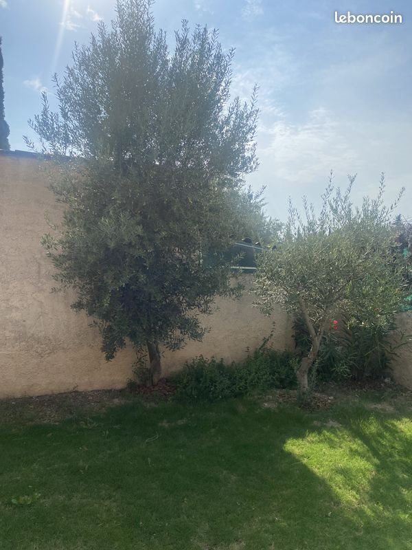 Maison à louer, 54m², Marseille 10ème