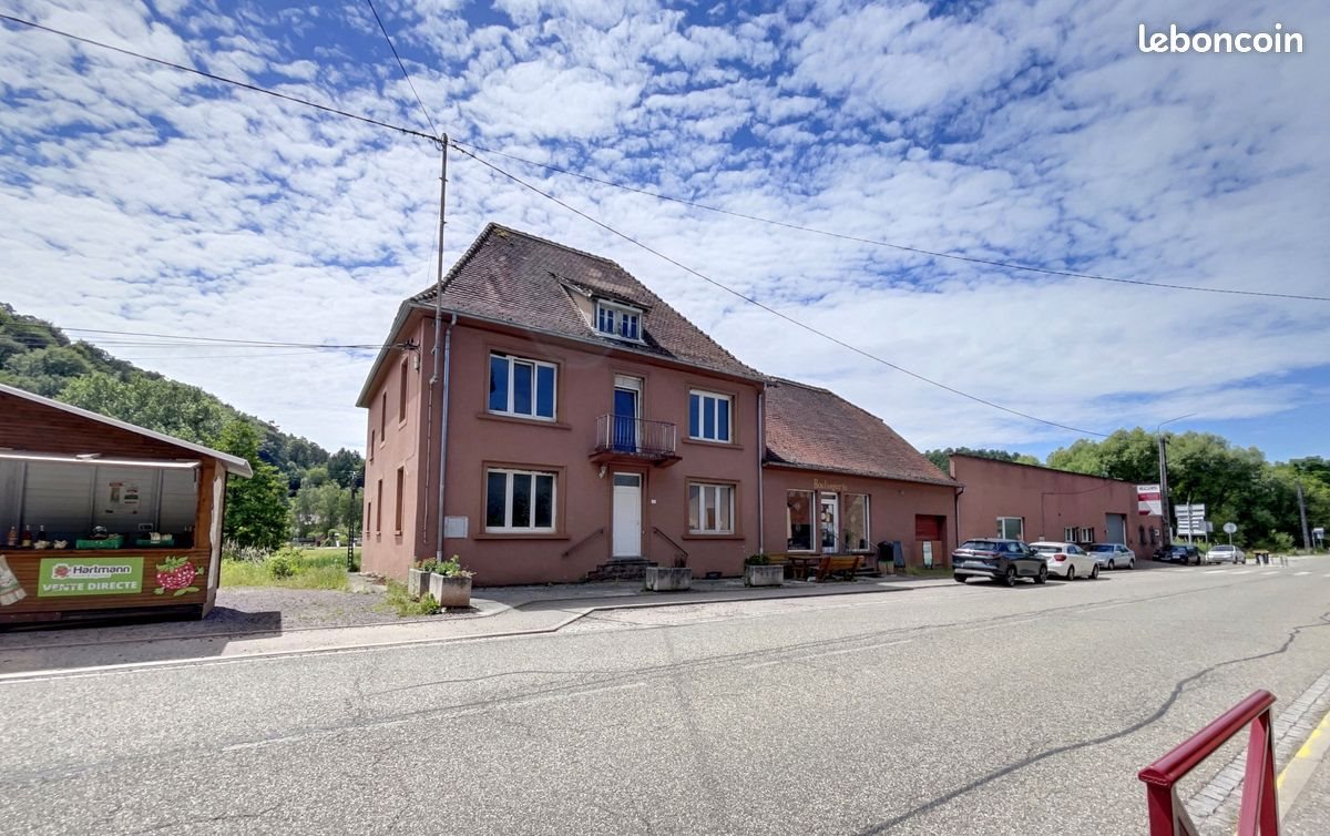 Maison à vendre, 515m², Philippsbourg