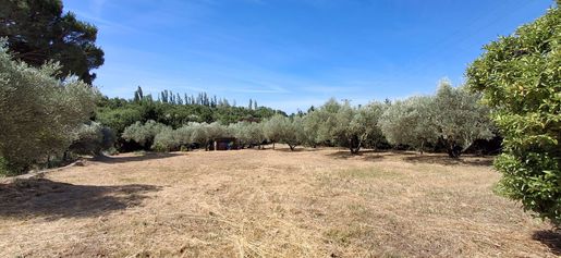Terrain, terrain 1310 m² — Montfrin (Gard) · 230 000 €