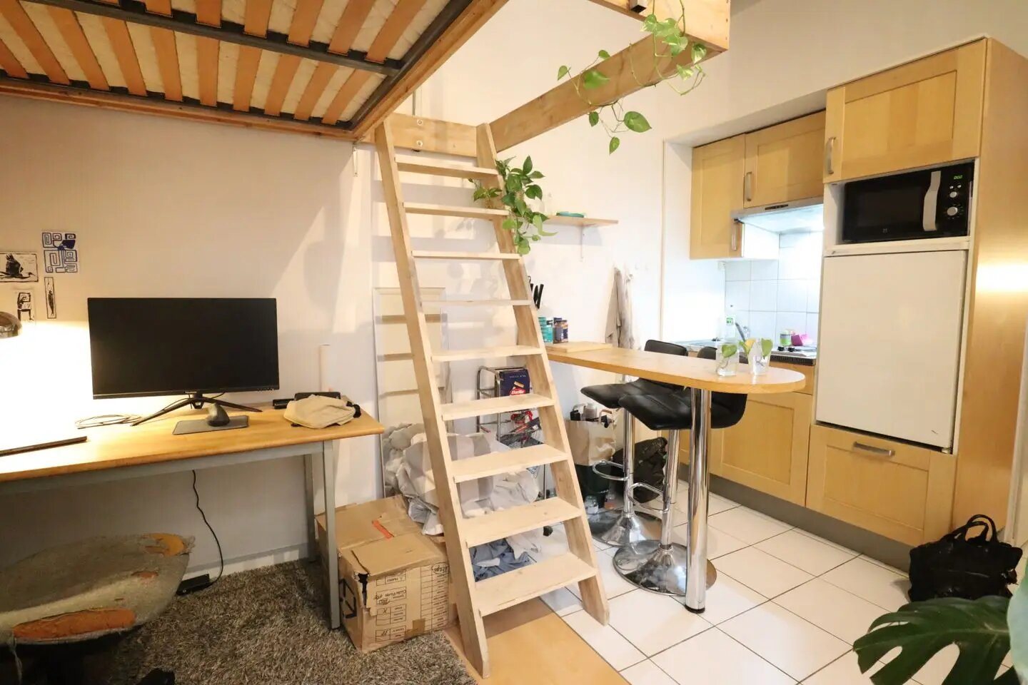 Appartement à vendre, 20m², Lyon 1er