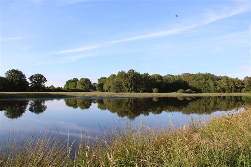 Rosnay 20000m²