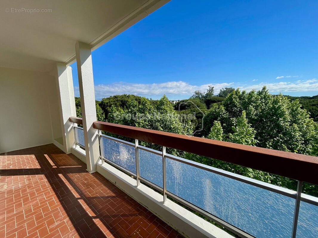 Appartement à vendre, 29m², La Grande-Motte