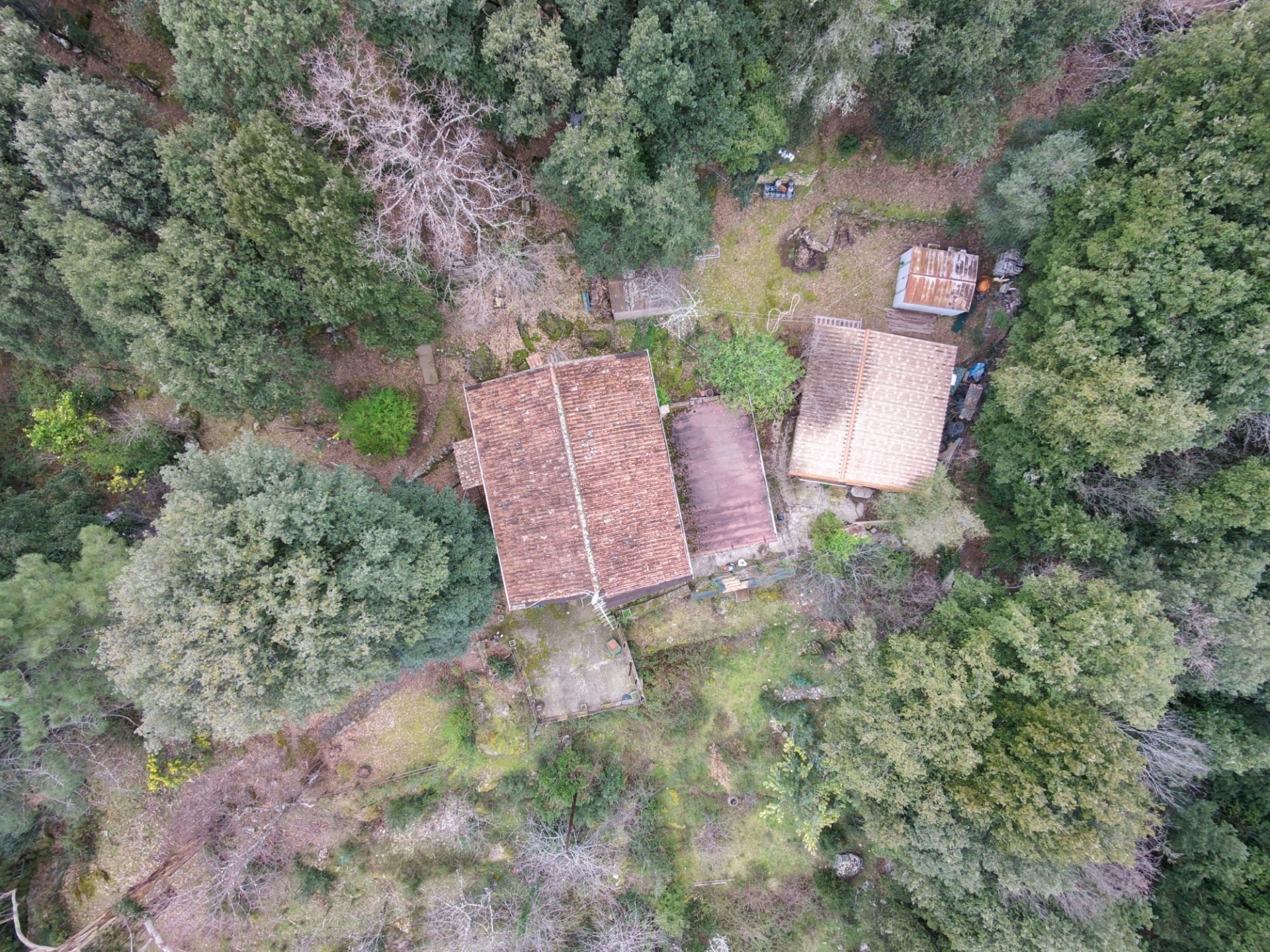 Maison à vendre, 208m², Corte
