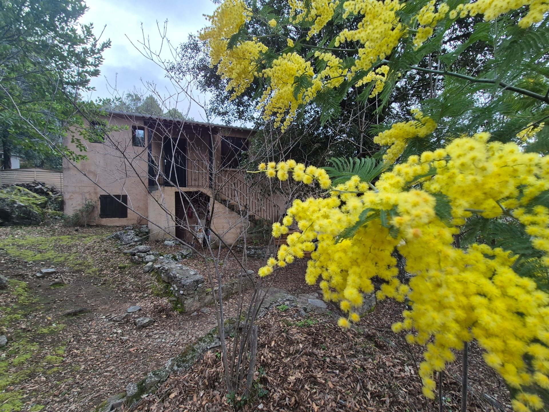 Maison à vendre, 208m², Corte