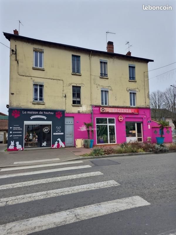 Appartement à vendre, 438m², Décines-Charpieu
