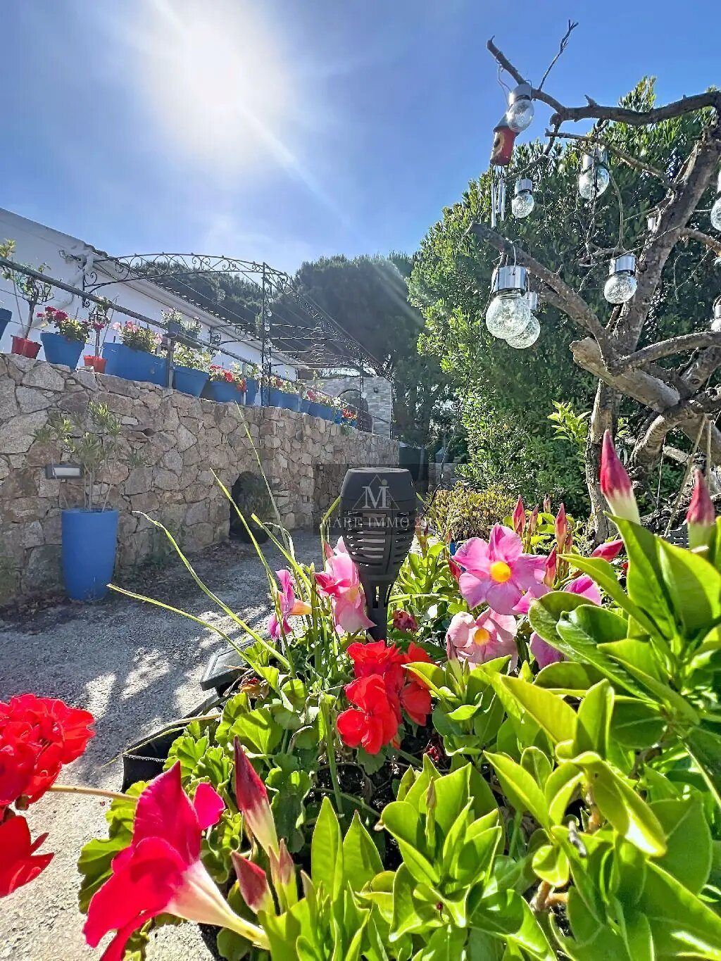 Maison à vendre, 50m², Calvi