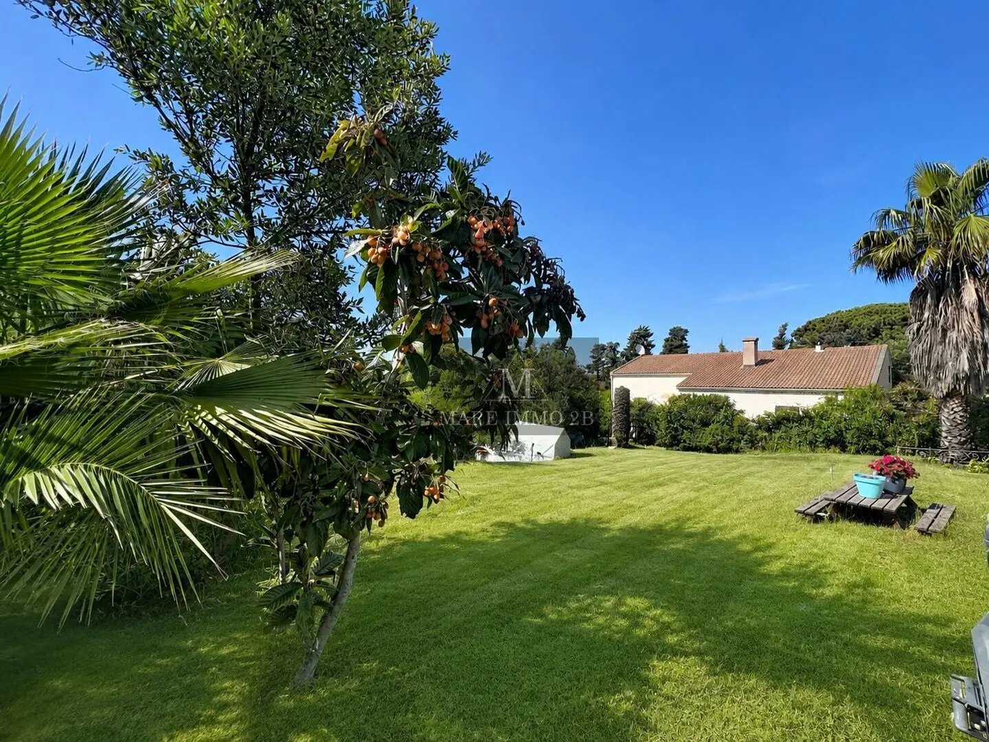 Maison à vendre, 50m², Calvi