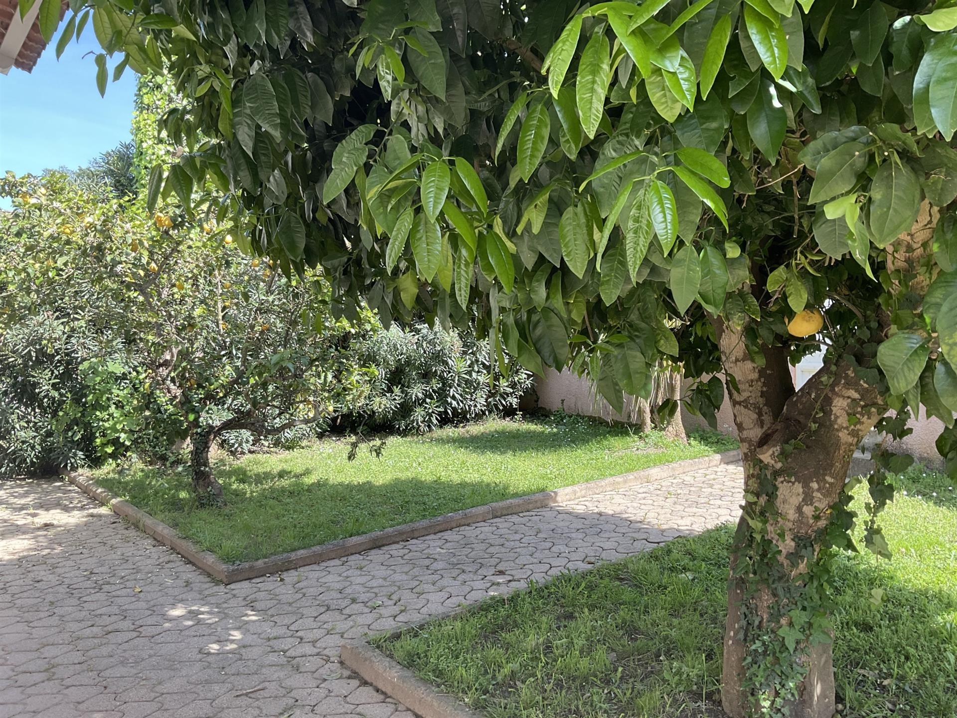 Maison à vendre, 90m², Prunelli-di-Fiumorbo