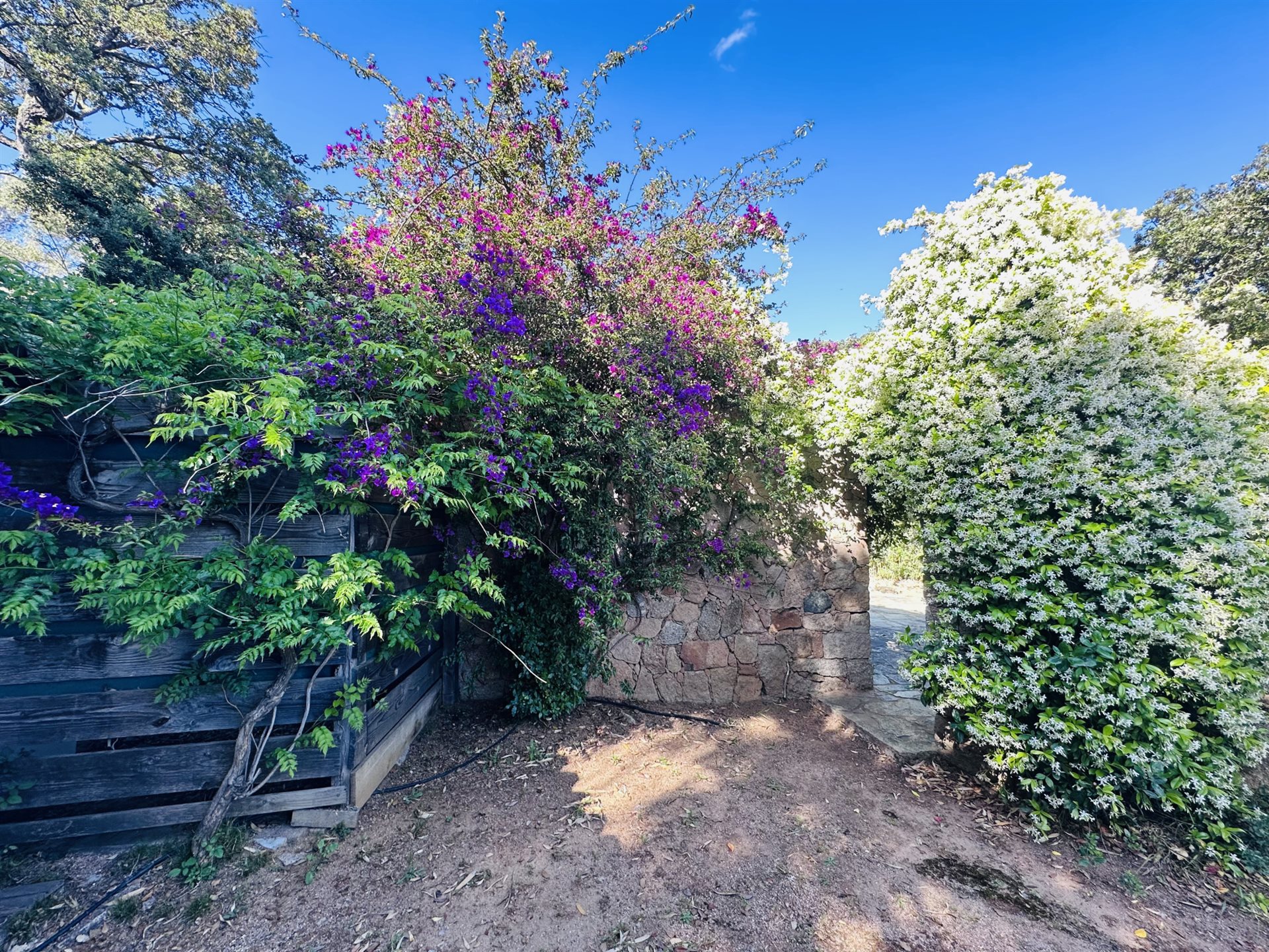 Maison à vendre, 67m², Lecci