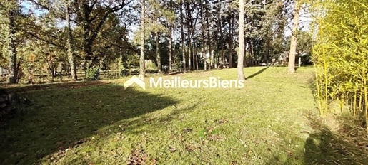 Advert pic 0