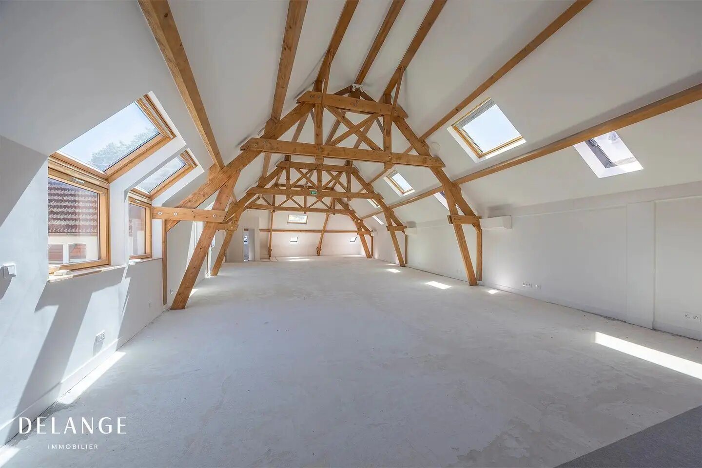 Appartement à vendre, 165m², Alfortville