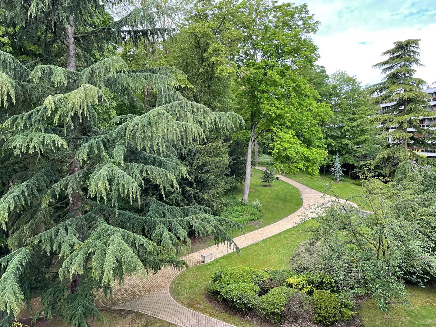 Appartement à louer, 21m², Saint-Cloud