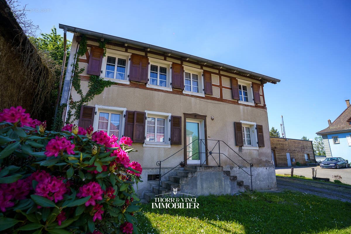 Maison à vendre, 102m², Friesen