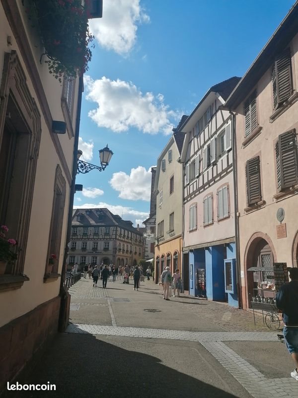 Appartement à louer, 80m², Ribeauvillé
