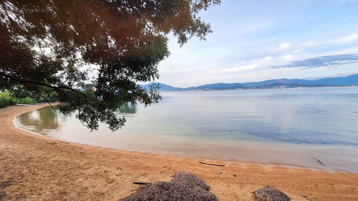 Maison à vendre, 500m², Grosseto-Prugna