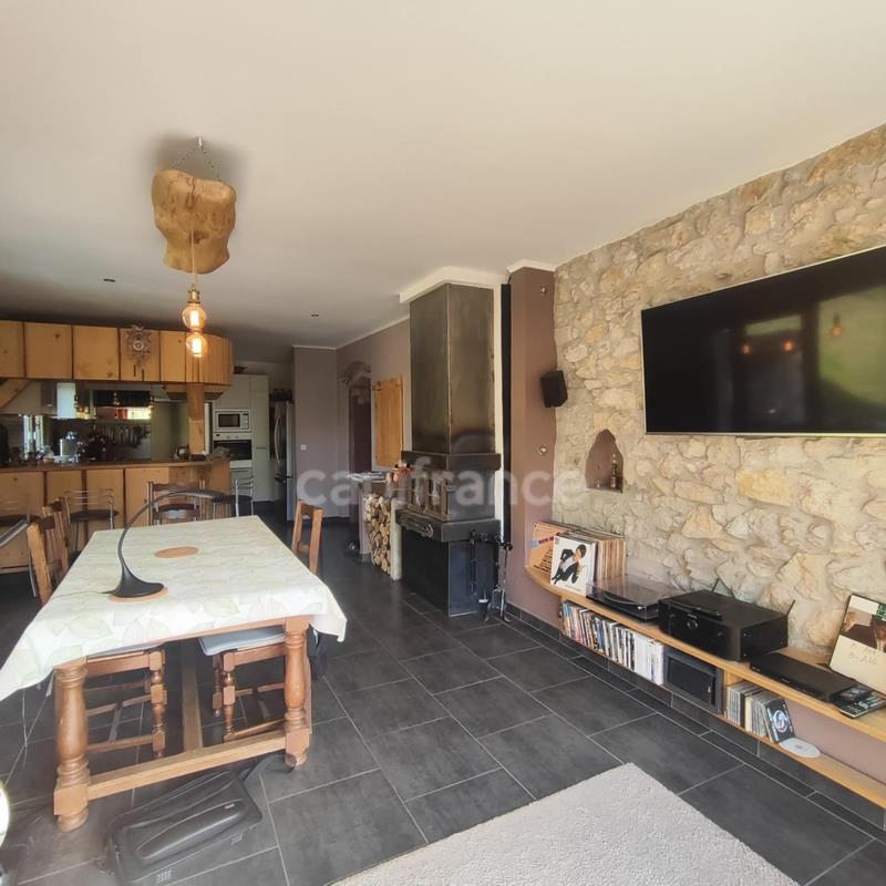 Maison à vendre, 290m², Chanaz