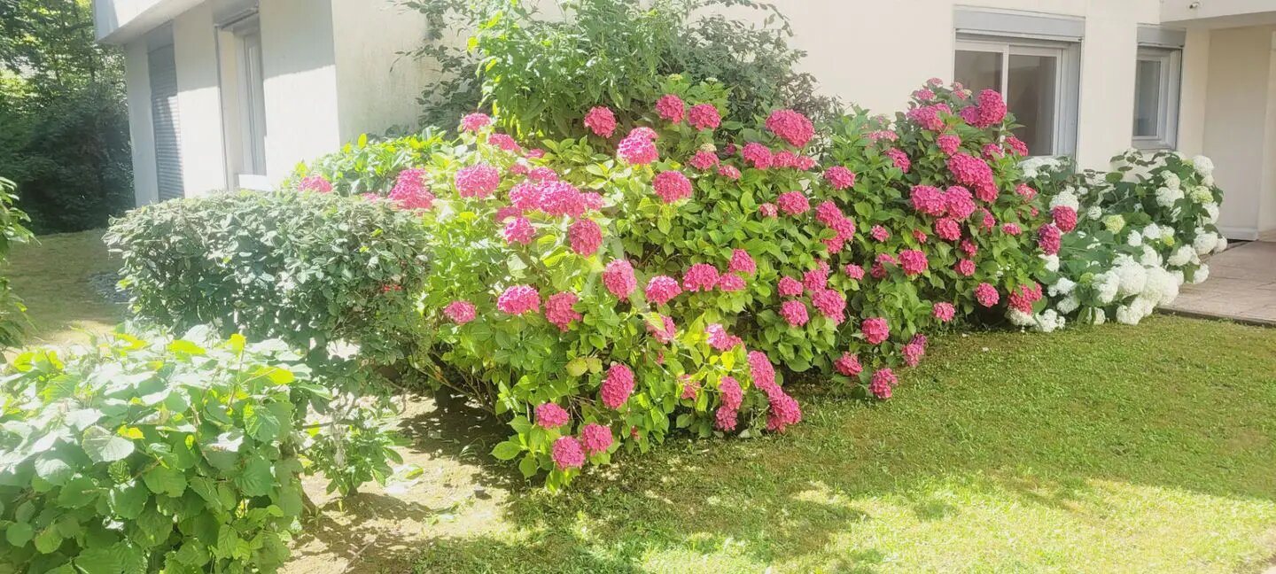 Appartement à vendre, 45m², Saint-Maurice