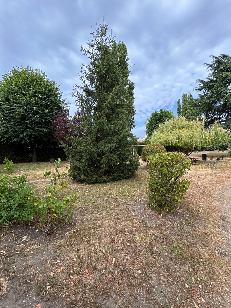 Appartement à louer, 59m², Ermont