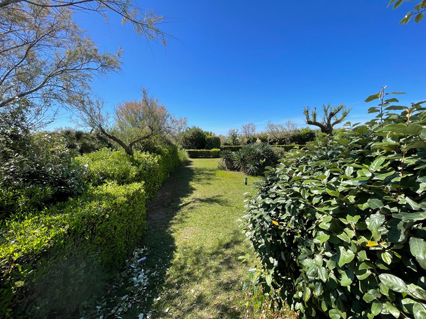 Appartement à vendre, 20m², La Grande-Motte