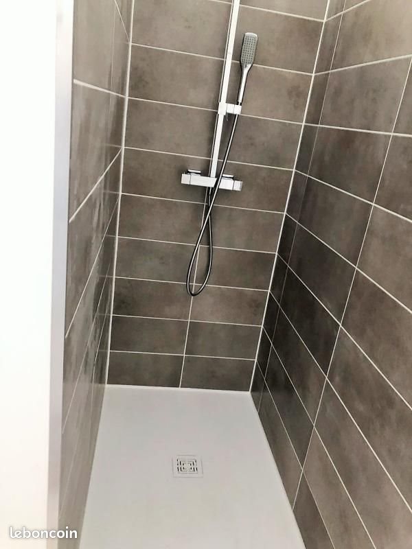 Appartement à louer, 56m², Nancy