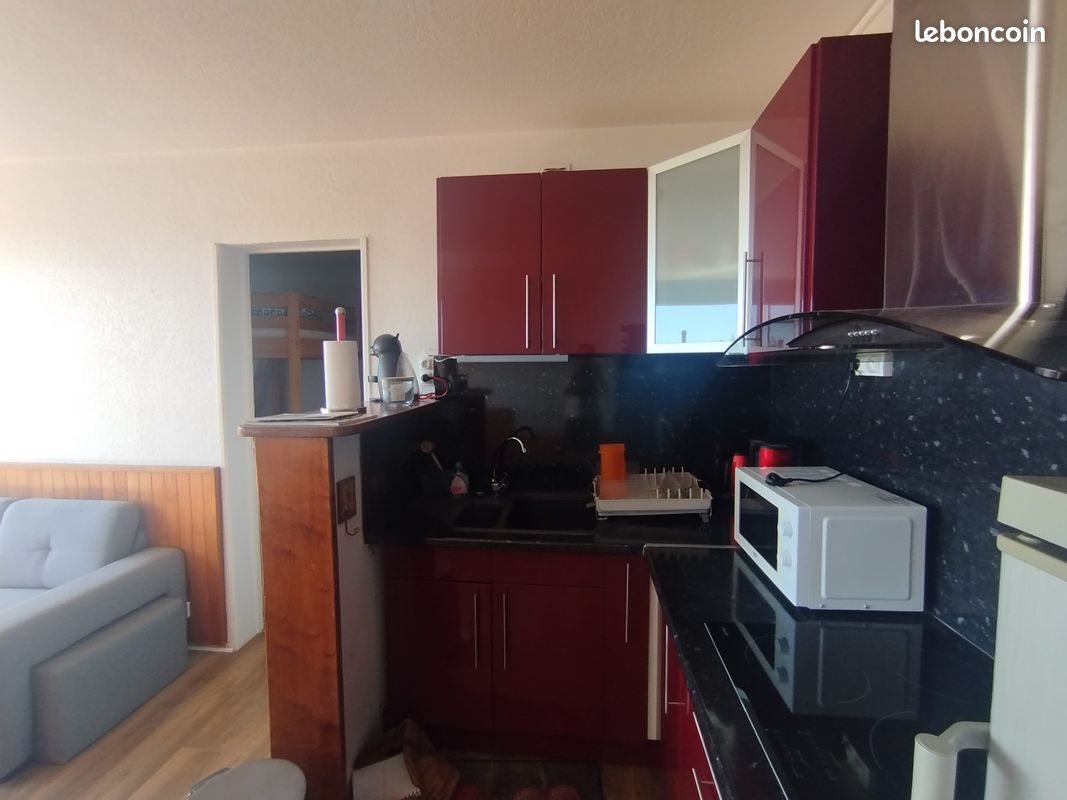 Appartement à vendre, 31m², Besse-et-Saint-Anastaise