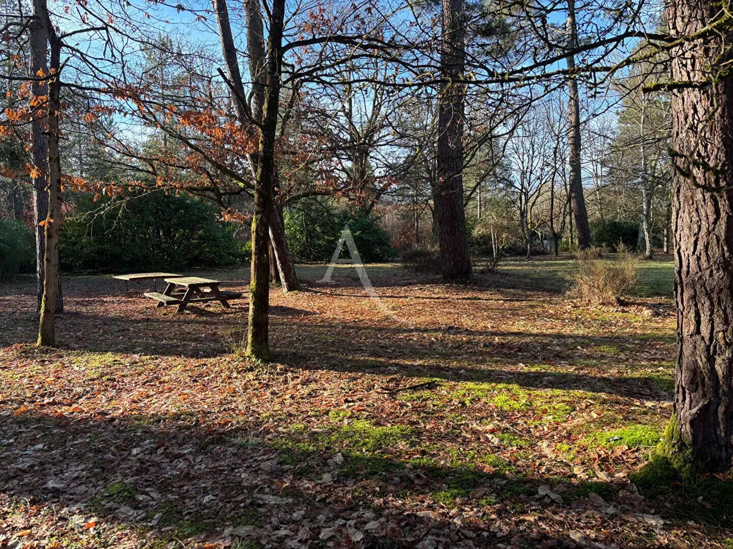 Maison à vendre, 174m², Yvoy-le-Marron