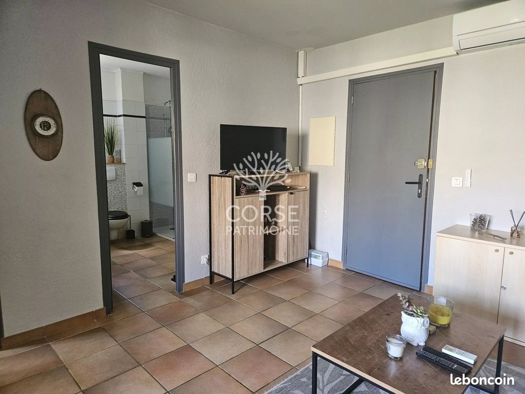 Appartement à vendre, 37m², Linguizzetta
