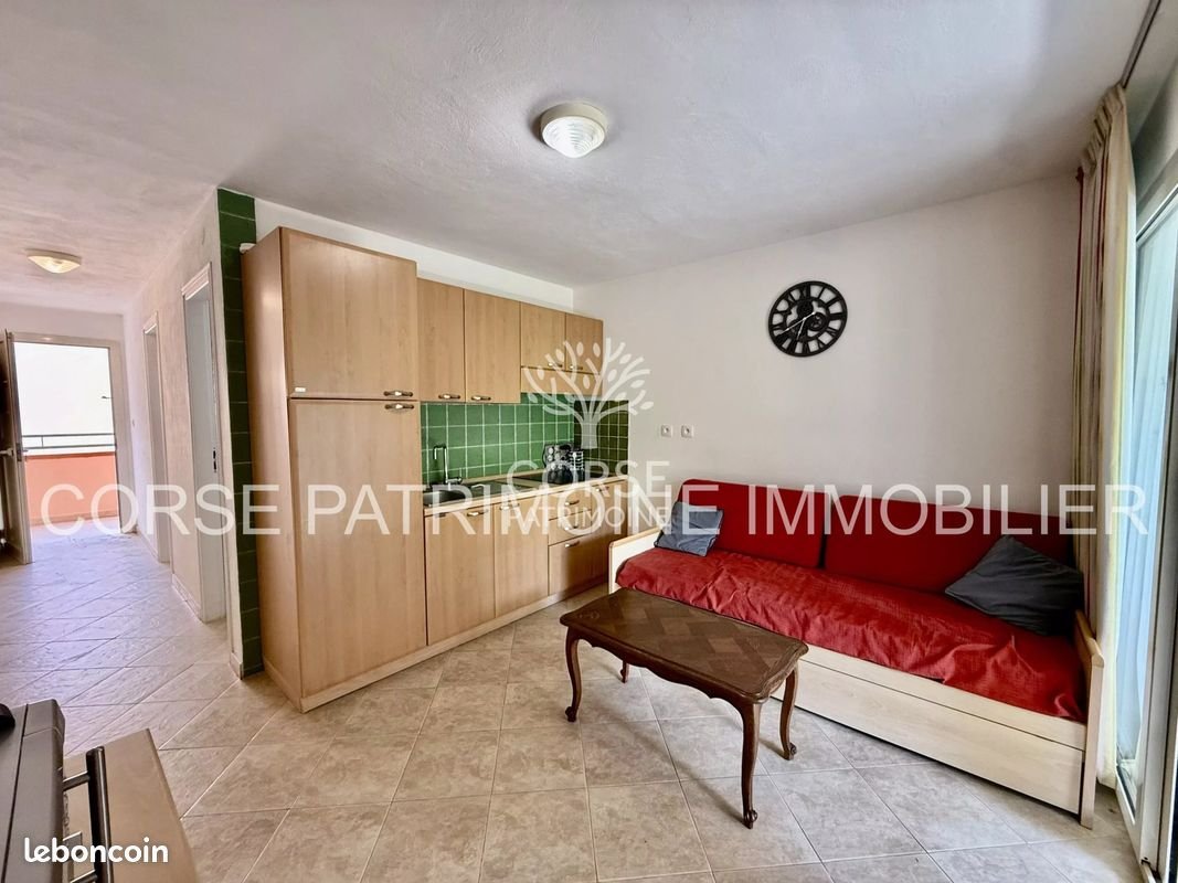 Appartement à vendre, 25m², Linguizzetta