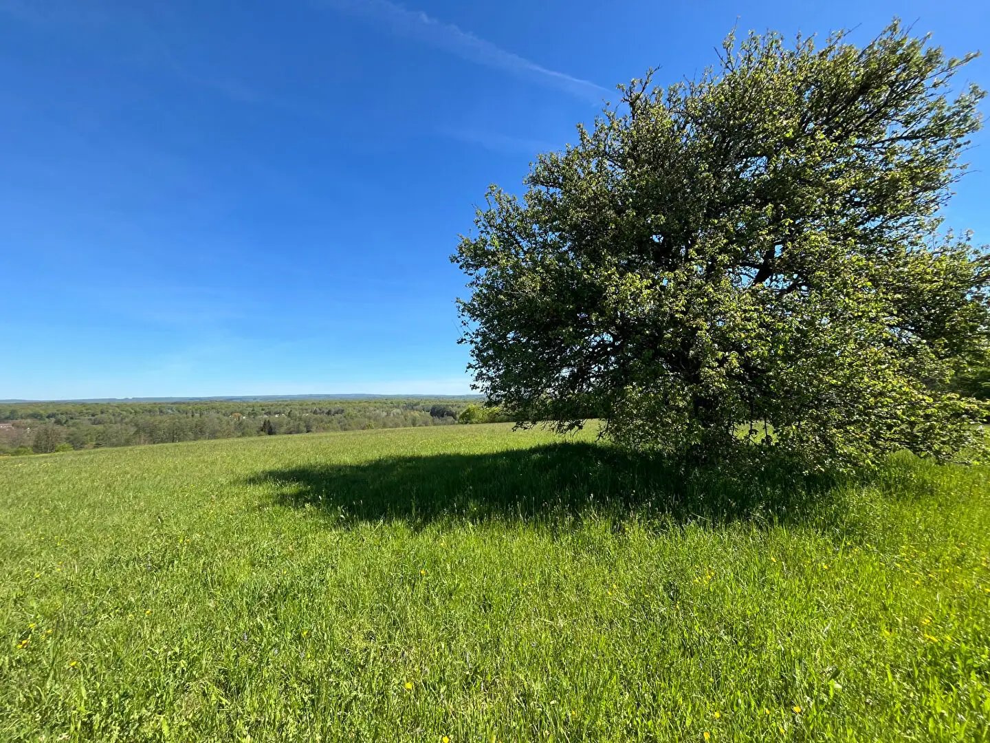 Maison à vendre, 300m², Quers