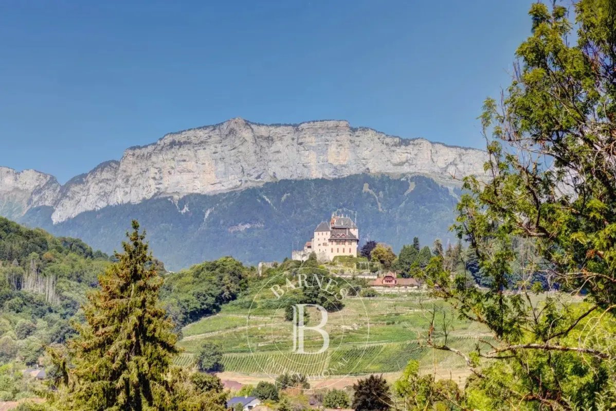 Maison à vendre, 240m², Menthon-Saint-Bernard