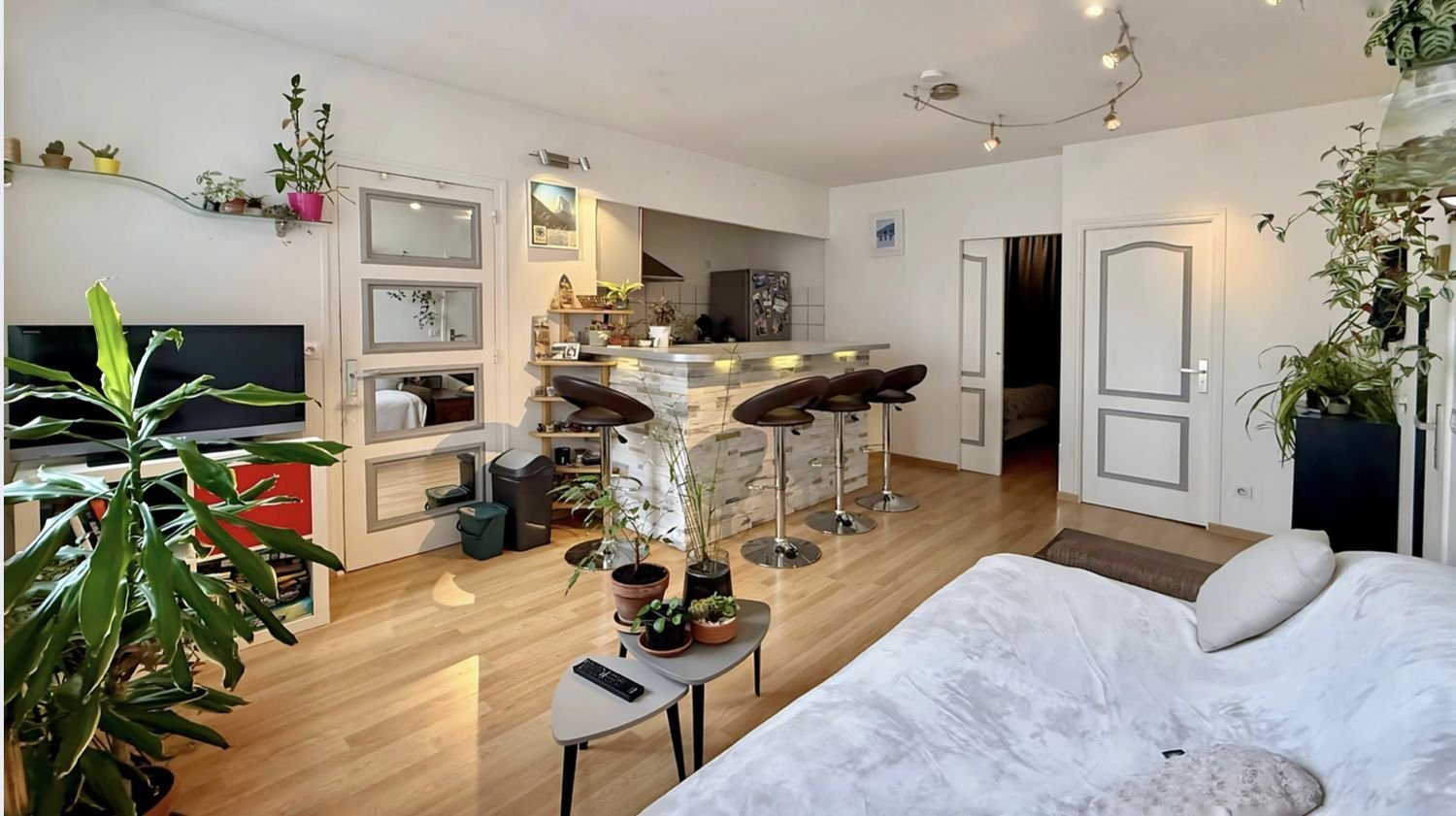 Appartement à vendre, 34m², Annecy