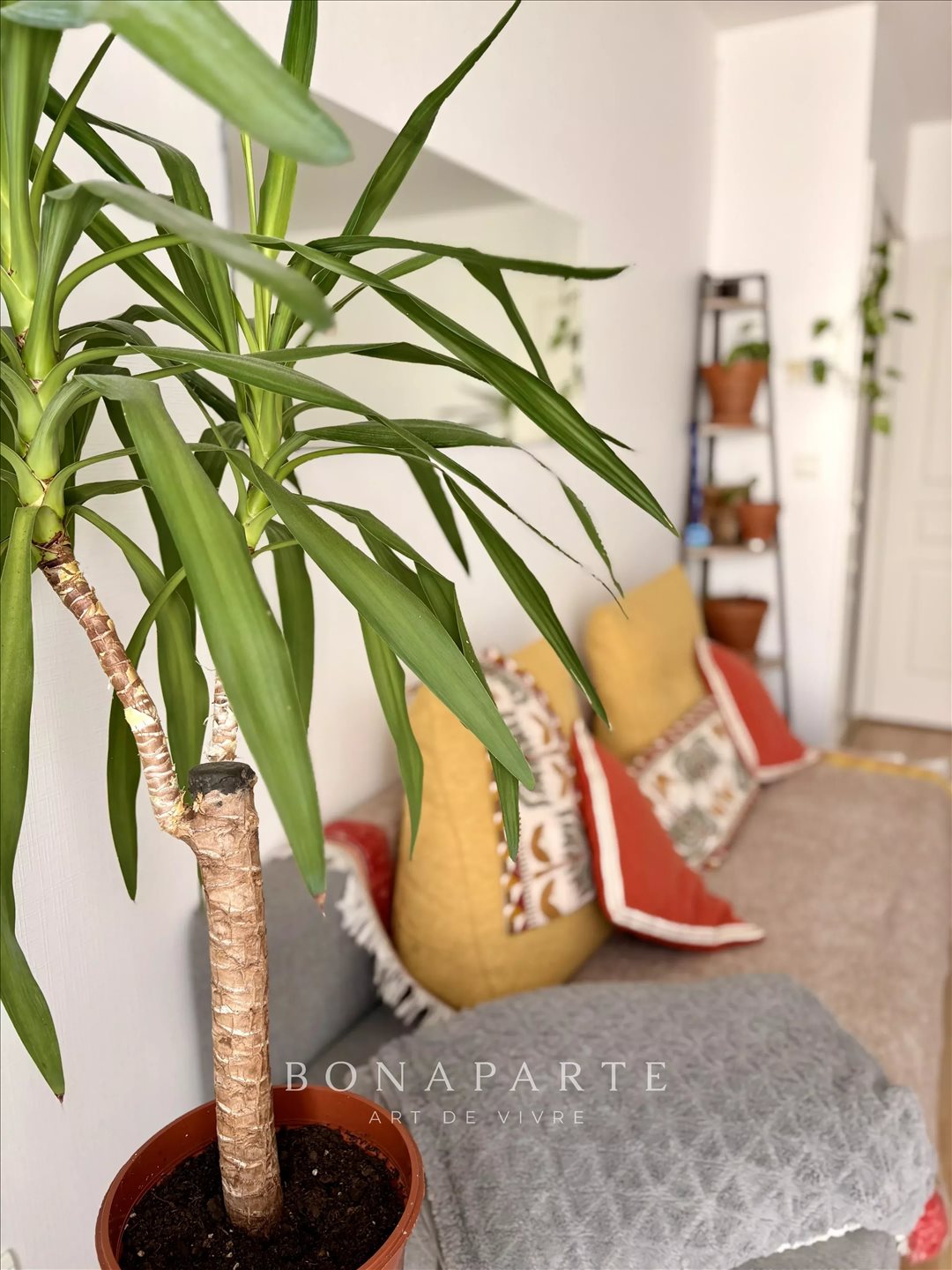 Appartement – Angers - Vue 3