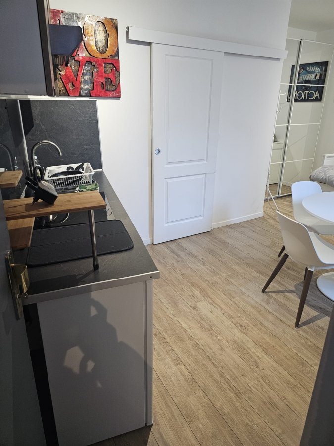 Appartement à vendre, 18m², Lille